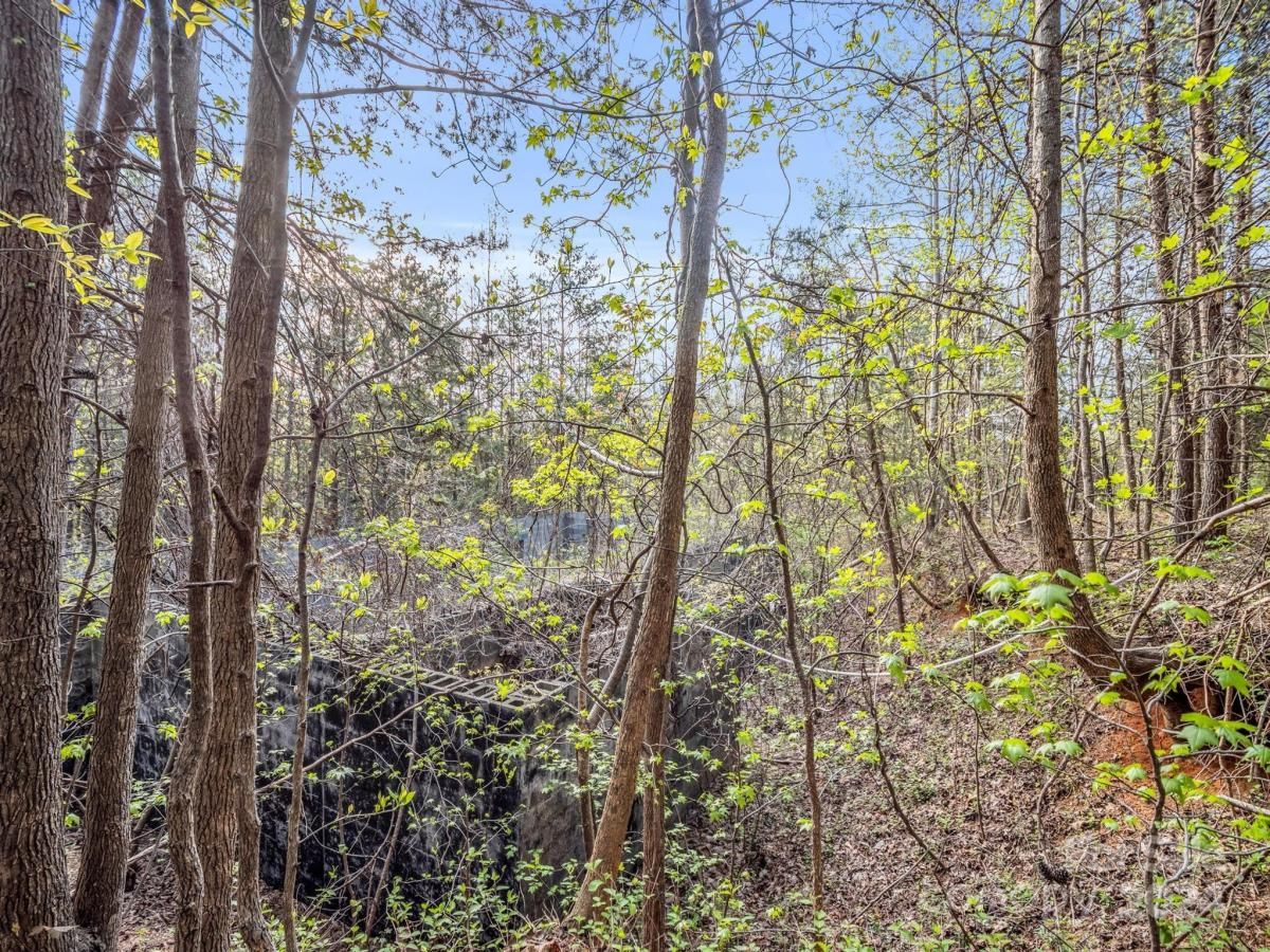 MLS #CAR4132536 image #14