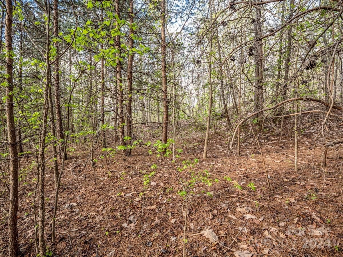 MLS #CAR4132536 image #15