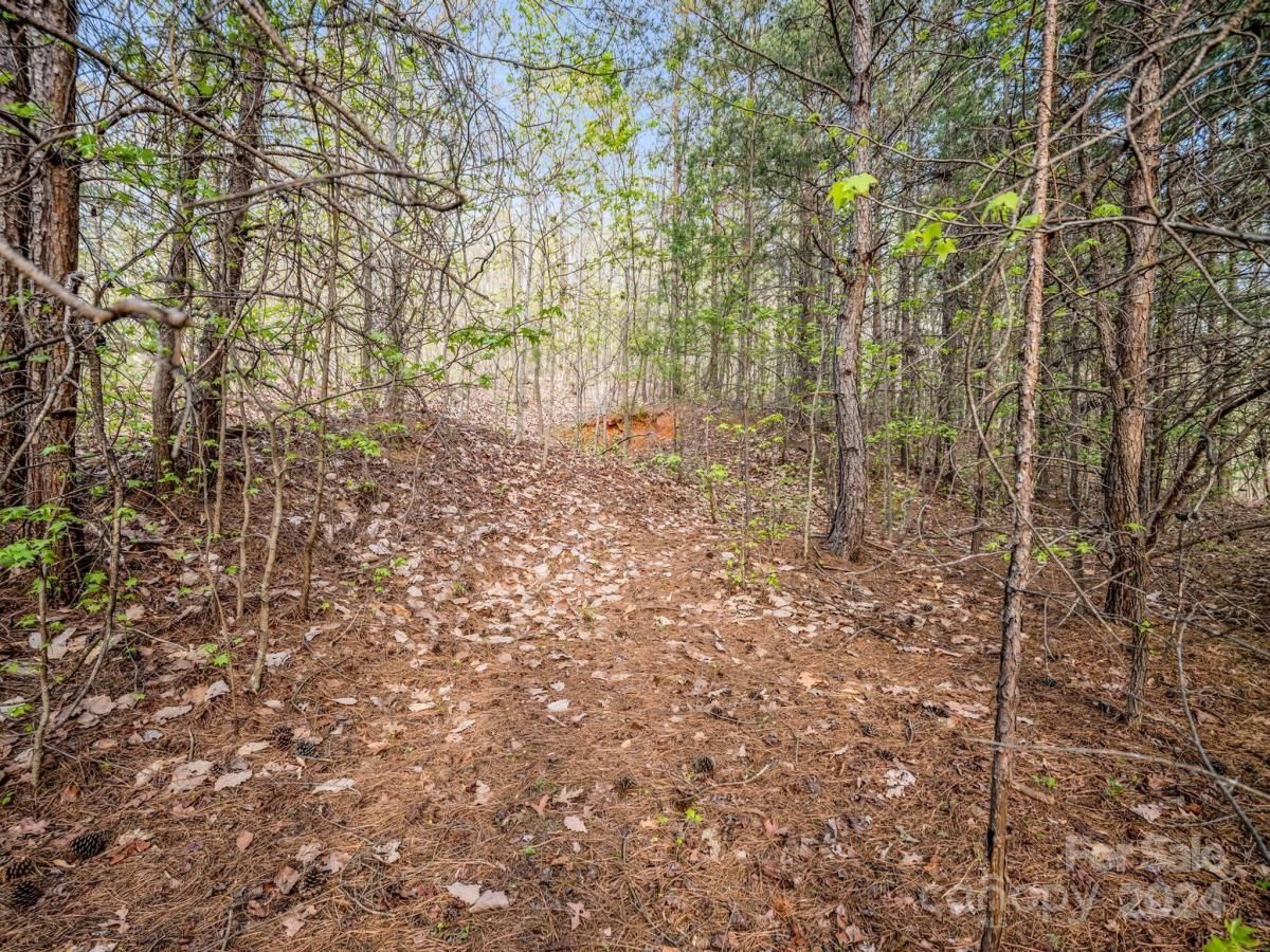 MLS #CAR4132536 image #16