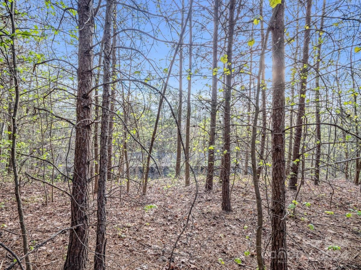 MLS #CAR4132536 image #17