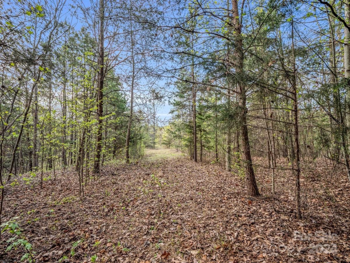 MLS #CAR4132536 image #18