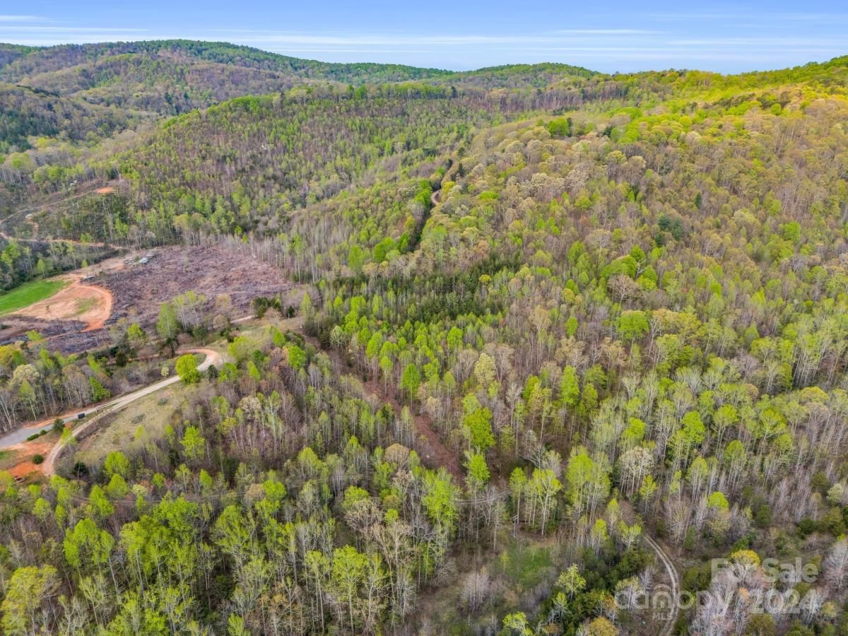 MLS #CAR4132536 image #19