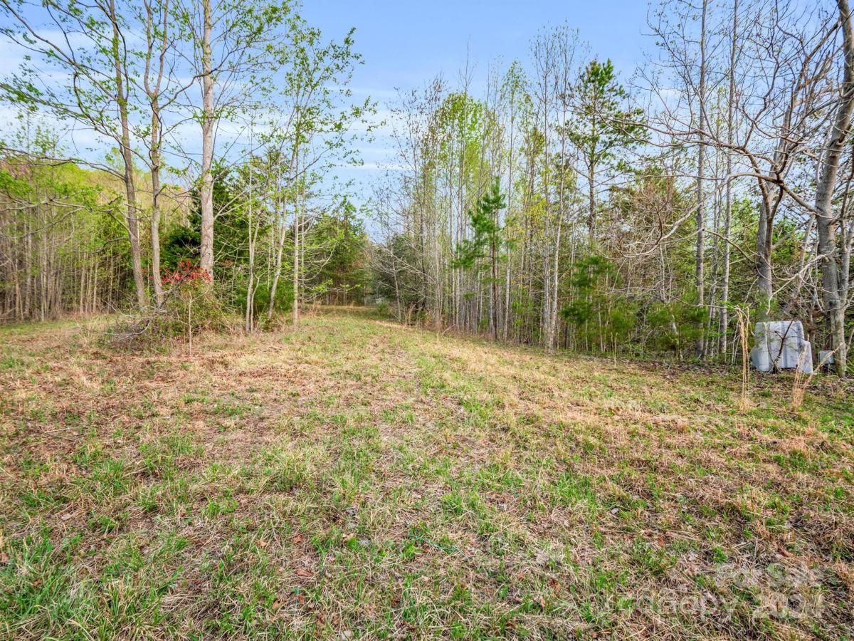 MLS #CAR4132536 image #2