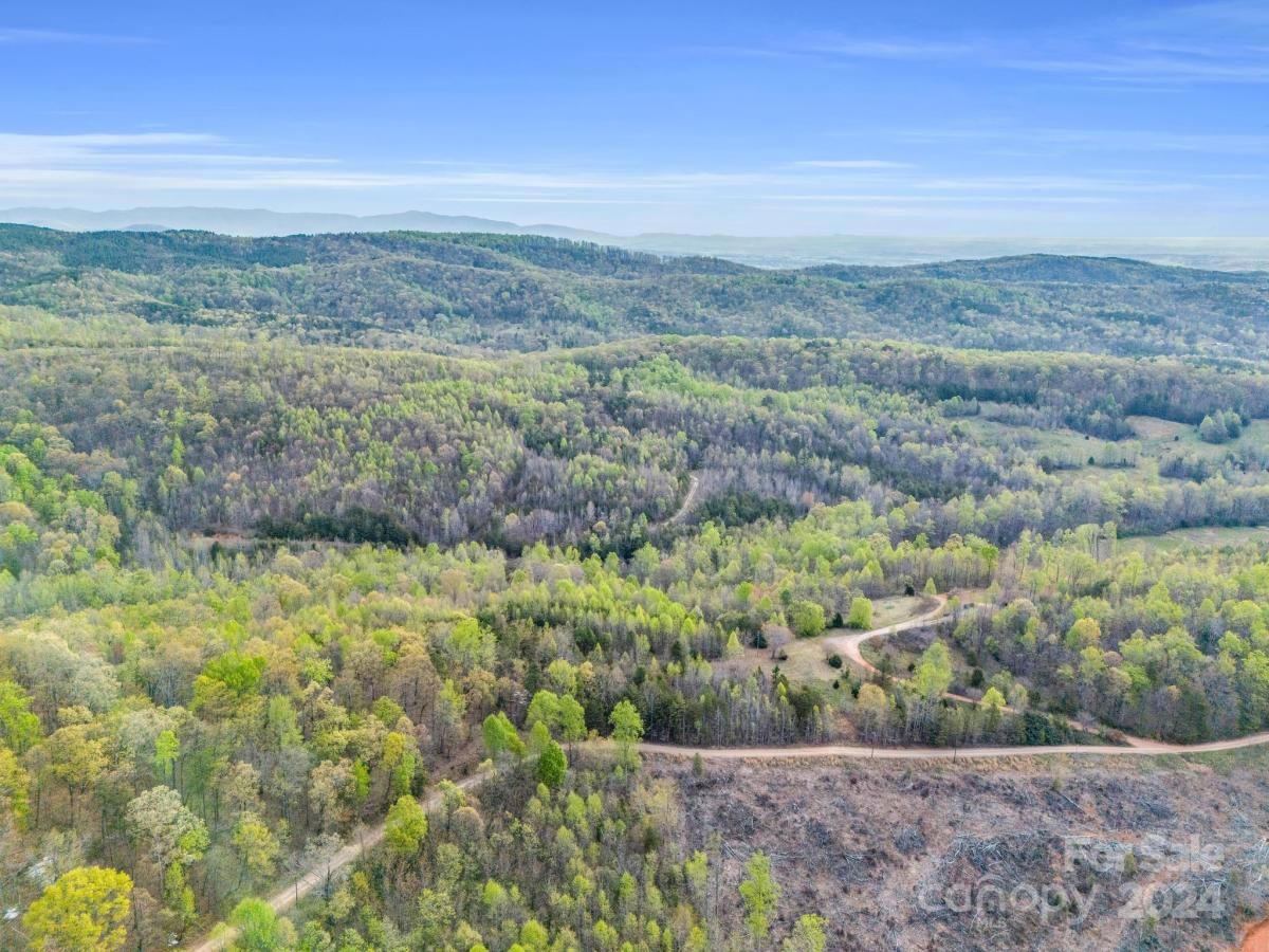 MLS #CAR4132536 image #24