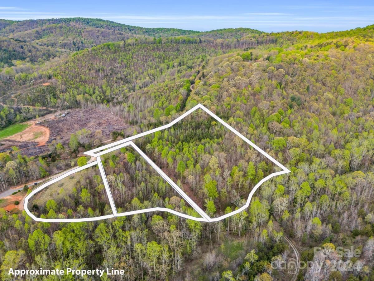 MLS #CAR4132536 image #28