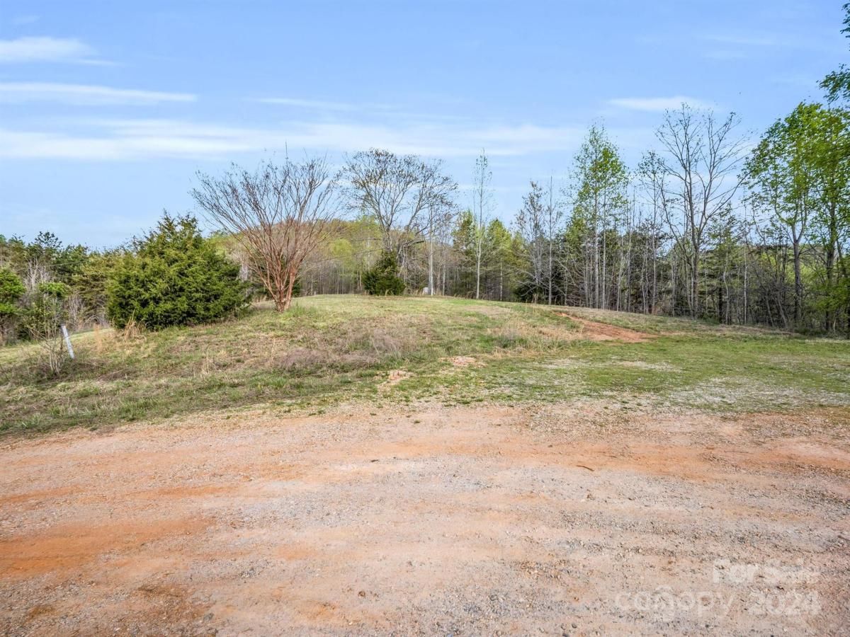 MLS #CAR4132536 image #3