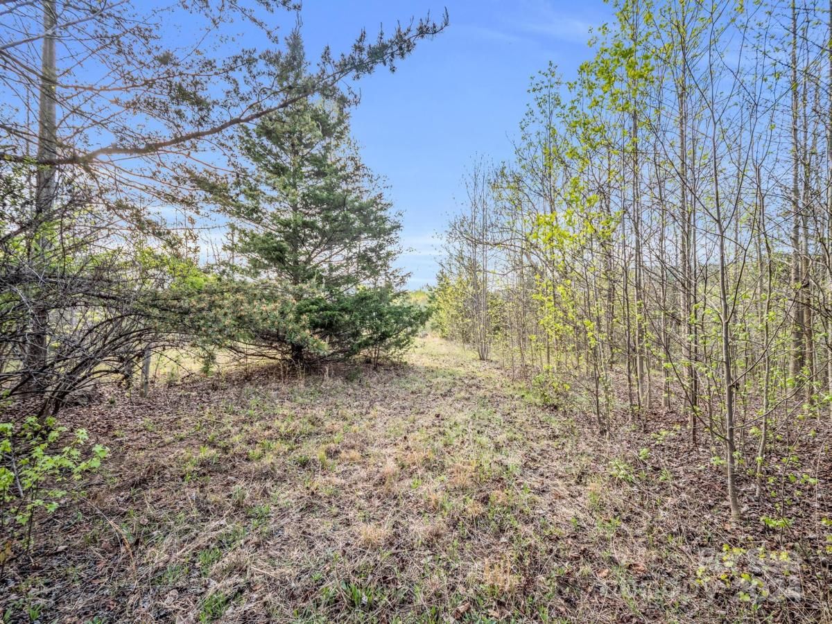 MLS #CAR4132536 image #4