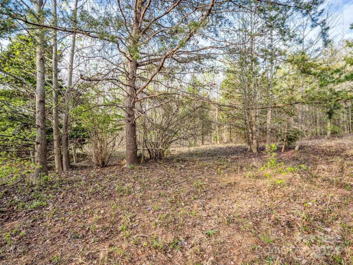 MLS #CAR4132536 image #7