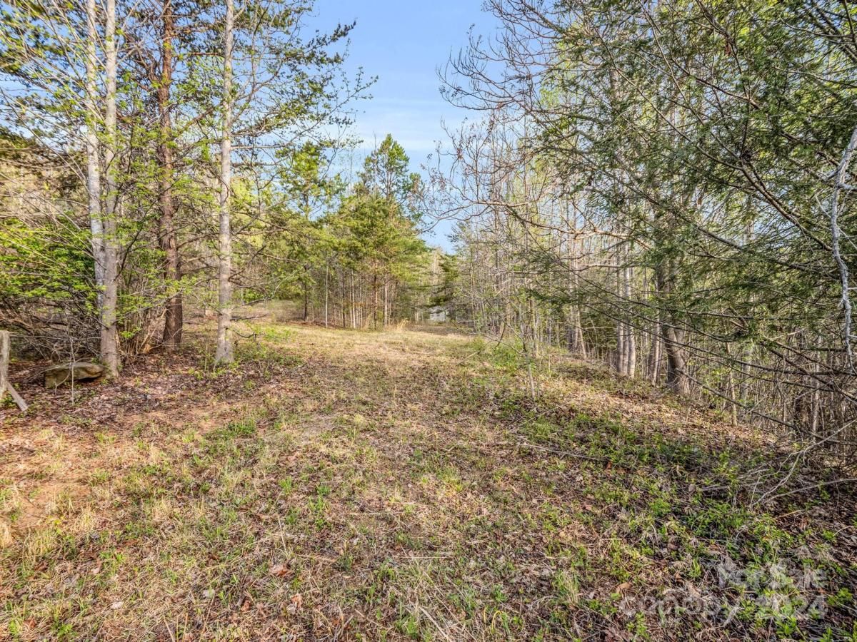 MLS #CAR4132536 image #8