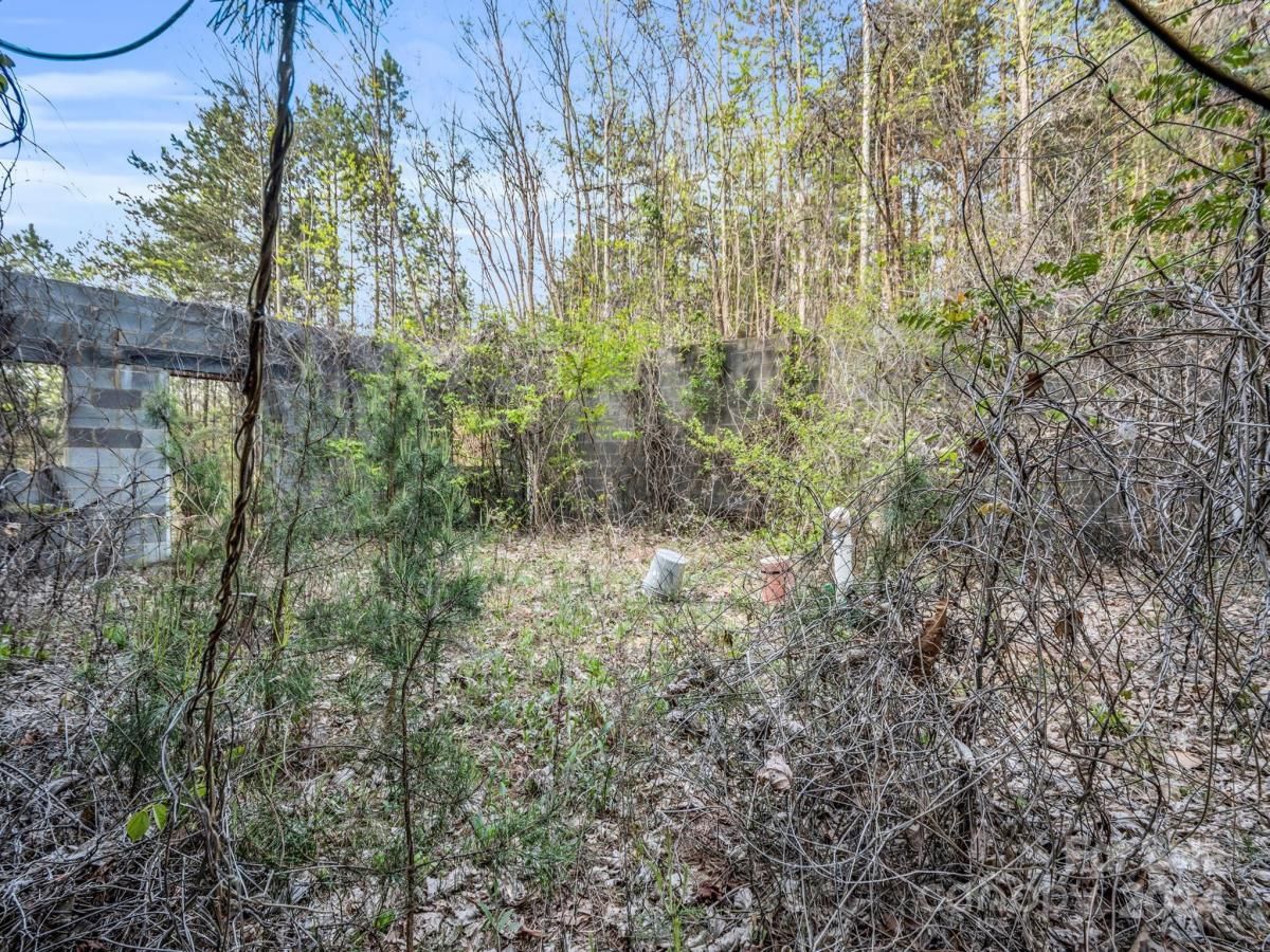 MLS #CAR4132536 image #9