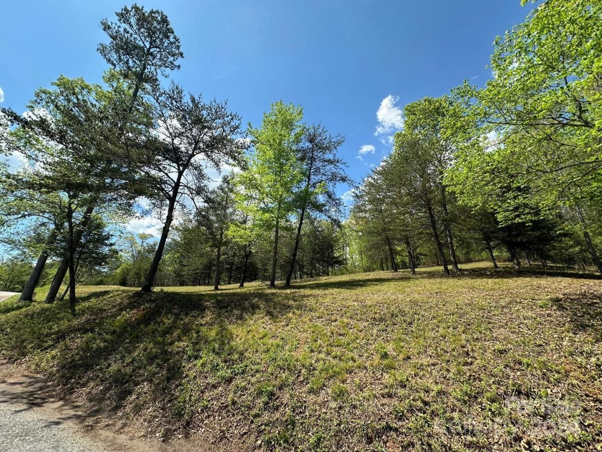 MLS #CAR4133074 image #2