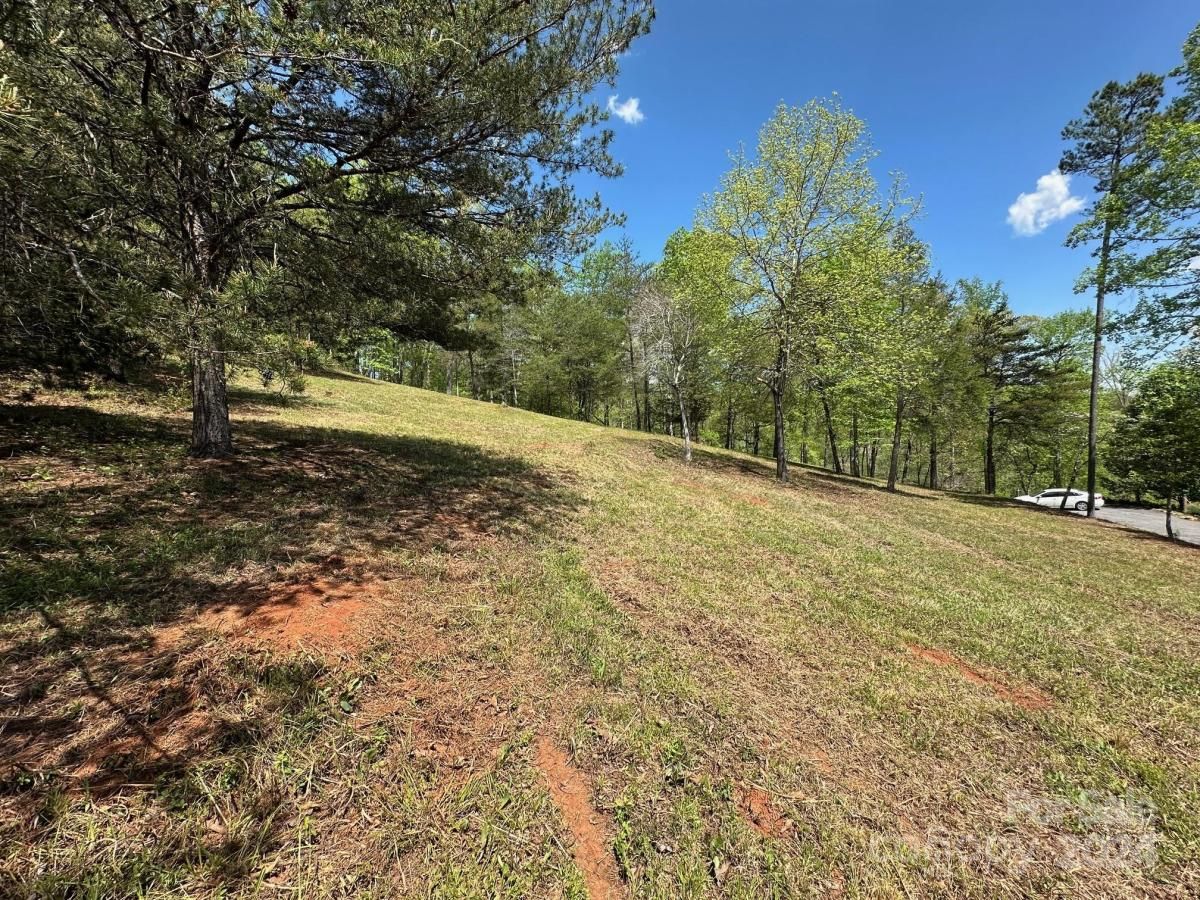 MLS #CAR4133074 image #4