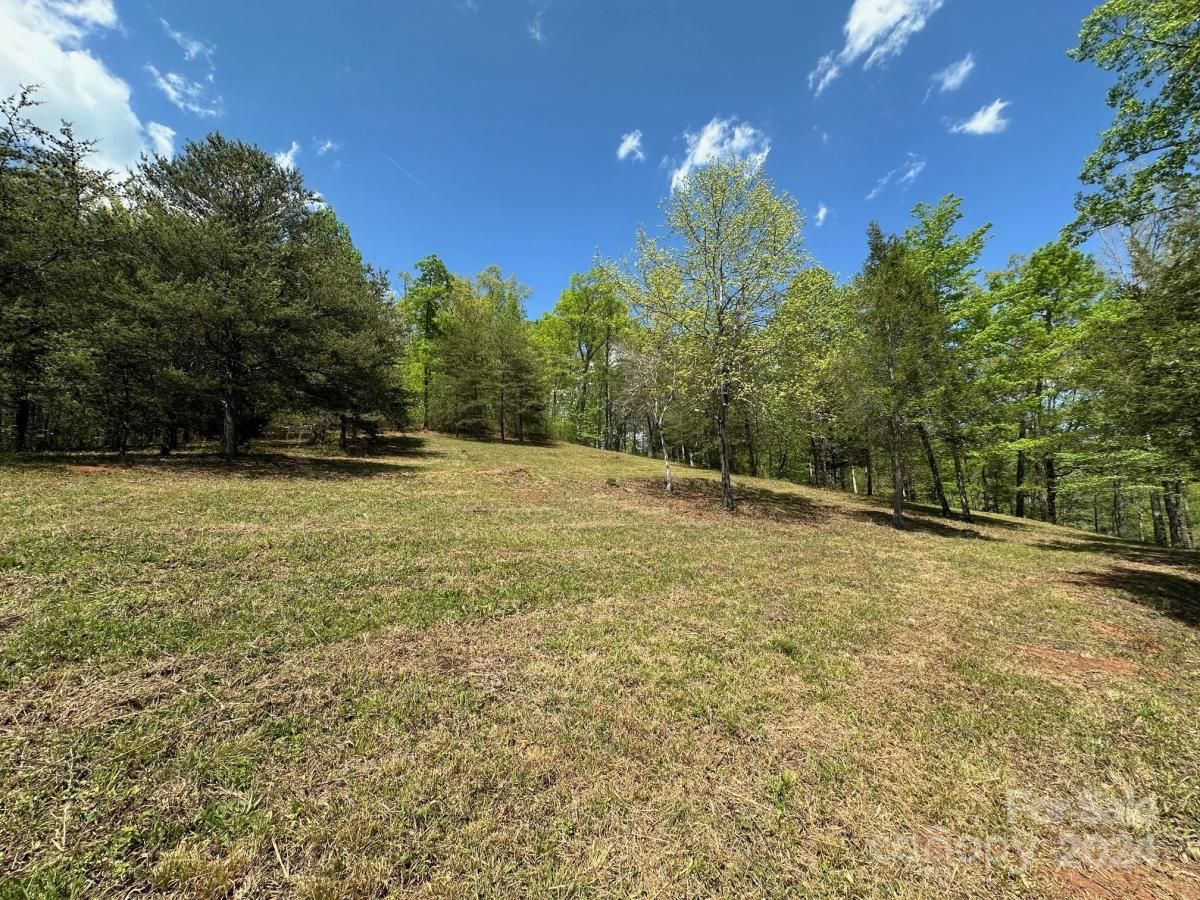 MLS #CAR4133074 image #5