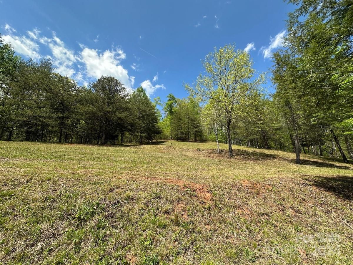 MLS #CAR4133074 image #6