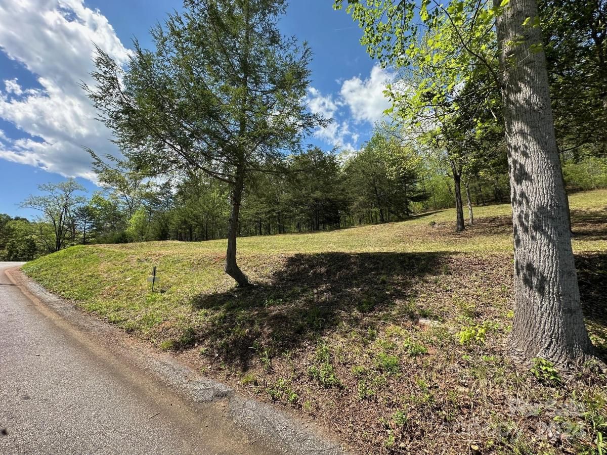 MLS #CAR4133074 image #7