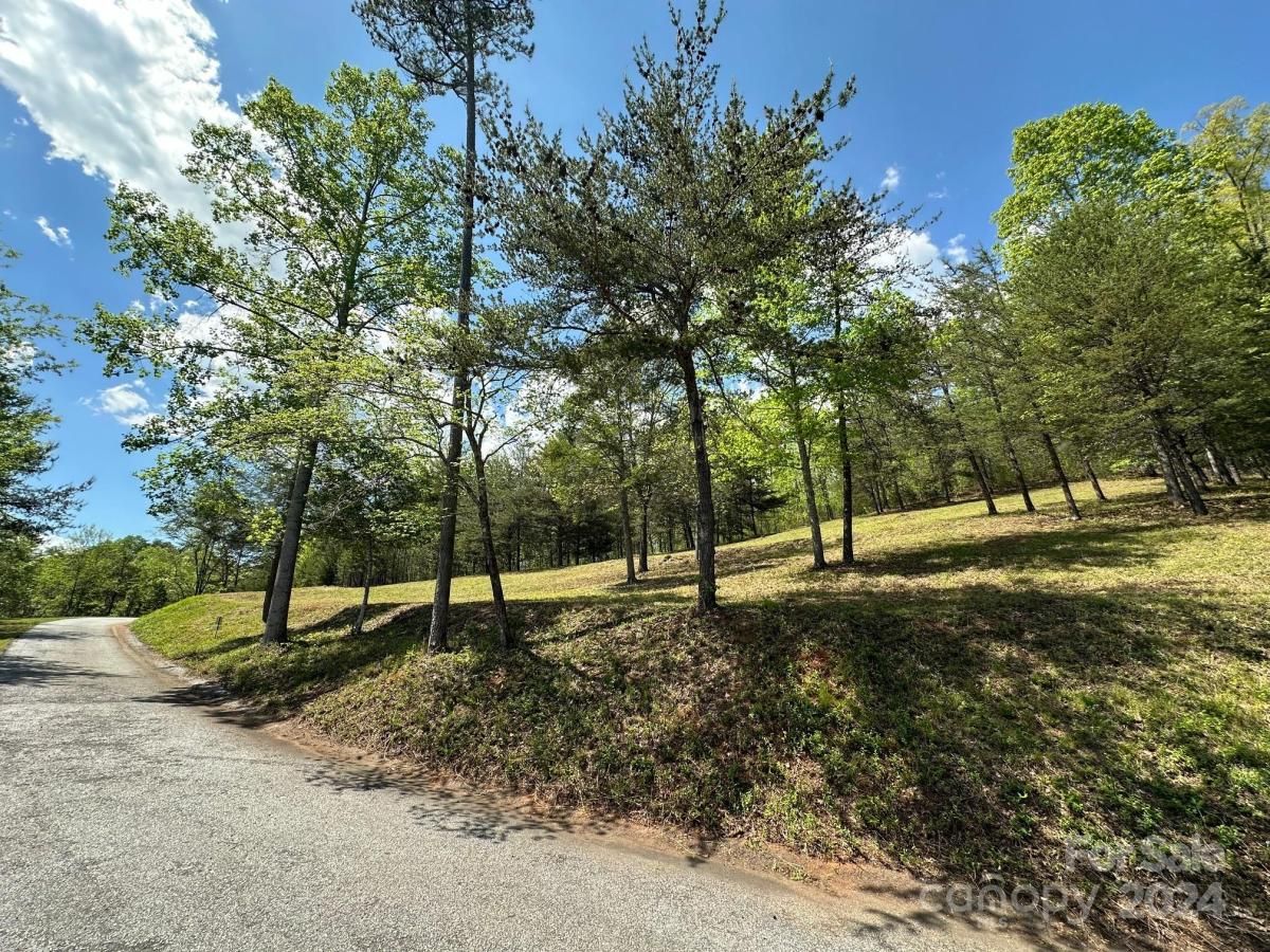 MLS #CAR4133074 image #8