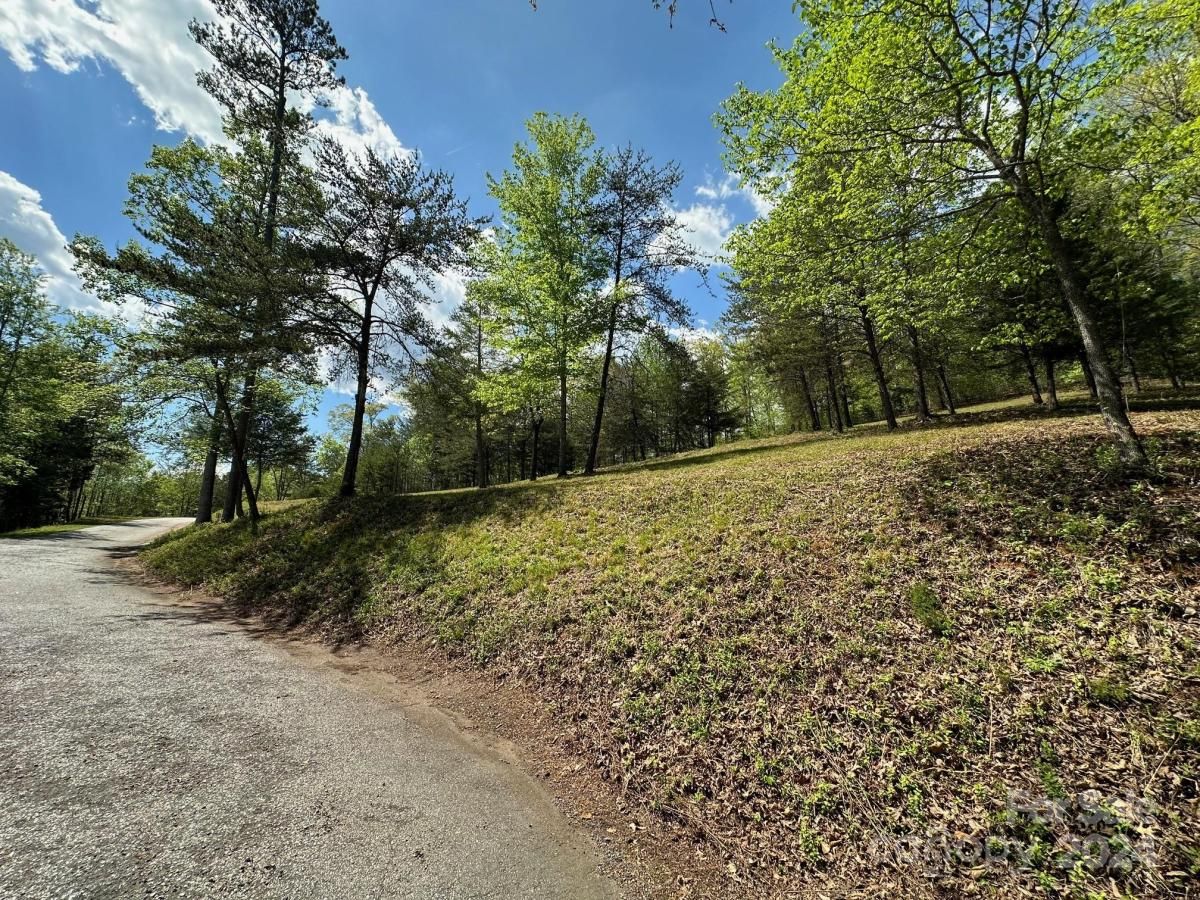 MLS #CAR4133074 image #9