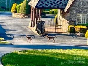 MLS #CAR4133074 image #11