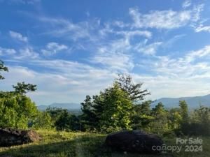 MLS #CAR4133074 image #30