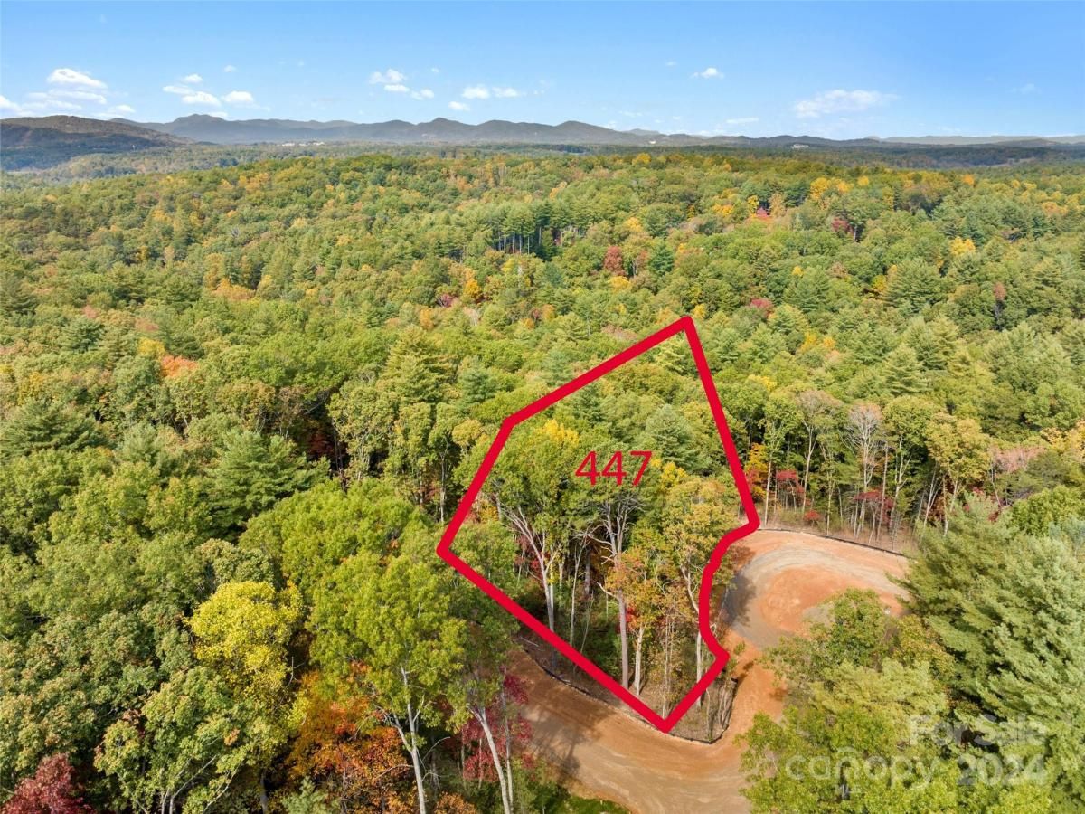 MLS #CAR4135638 image #0