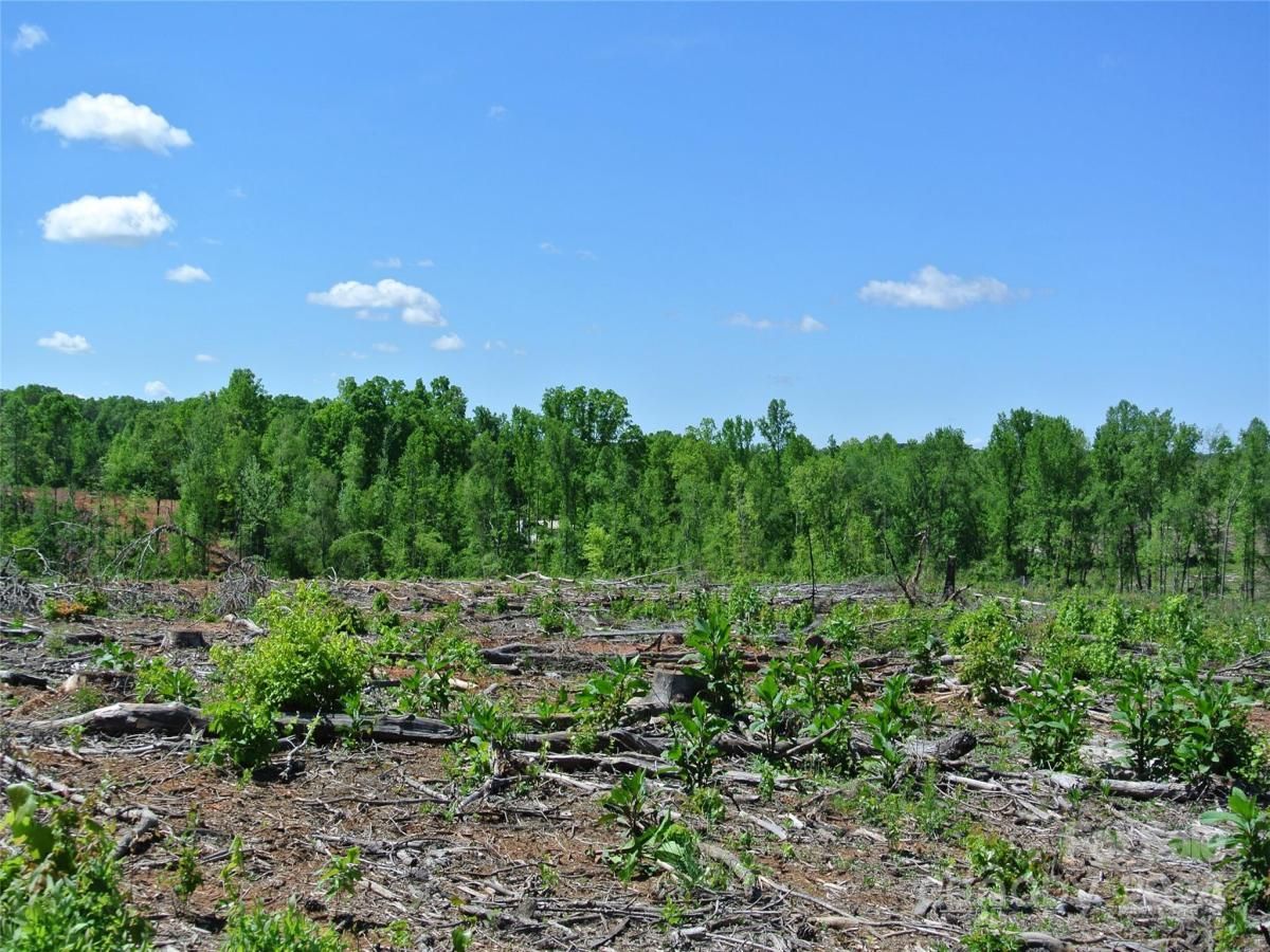 MLS #CAR4135867 image #12