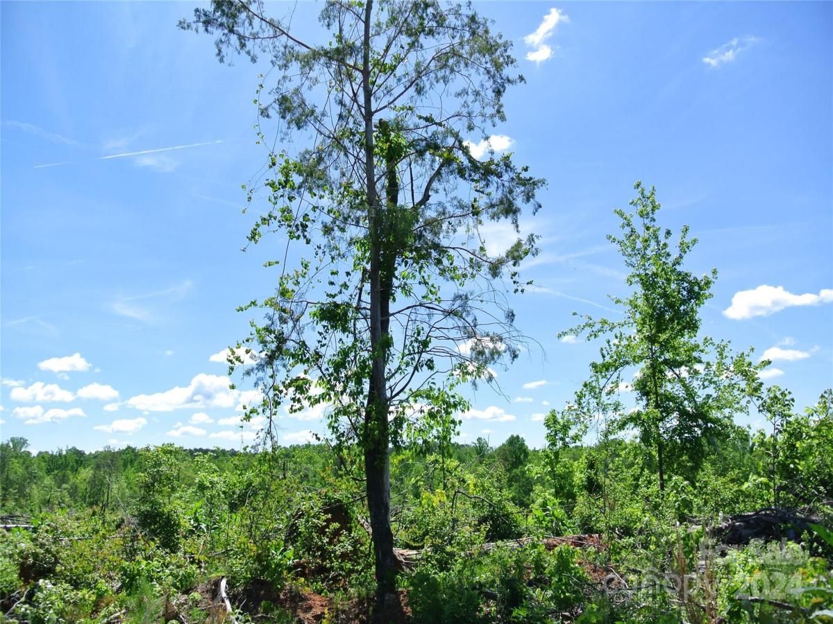 MLS #CAR4135867 image #13