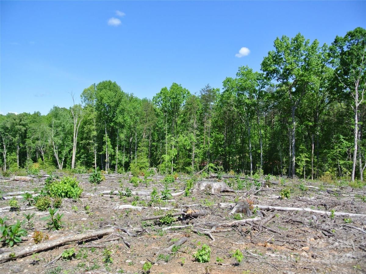 MLS #CAR4135867 image #15