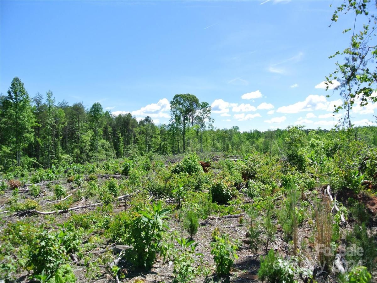 MLS #CAR4135867 image #16