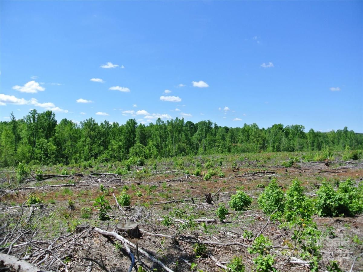 MLS #CAR4135867 image #17