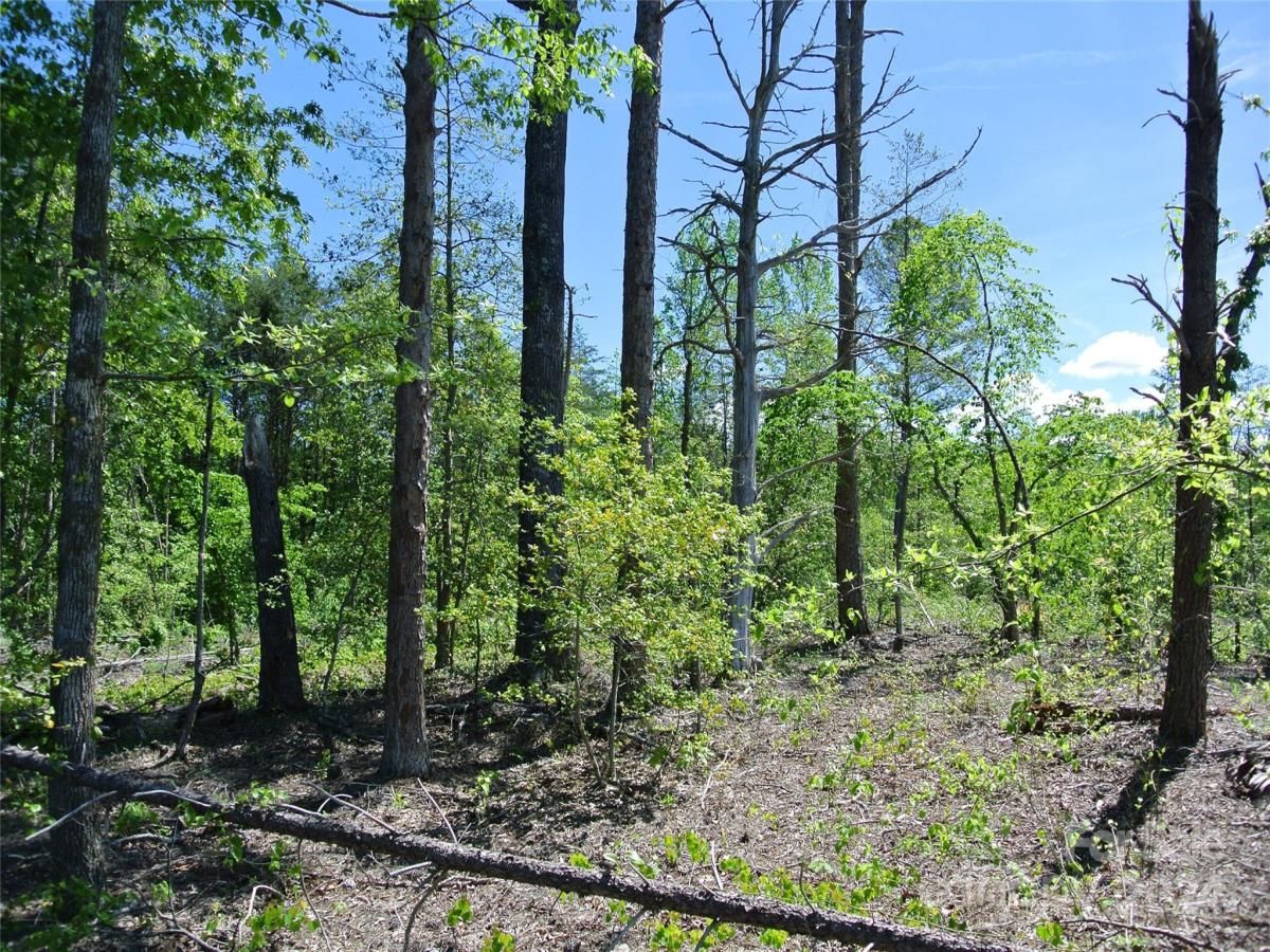 MLS #CAR4135867 image #18