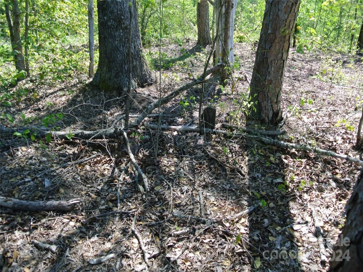 MLS #CAR4135867 image #19