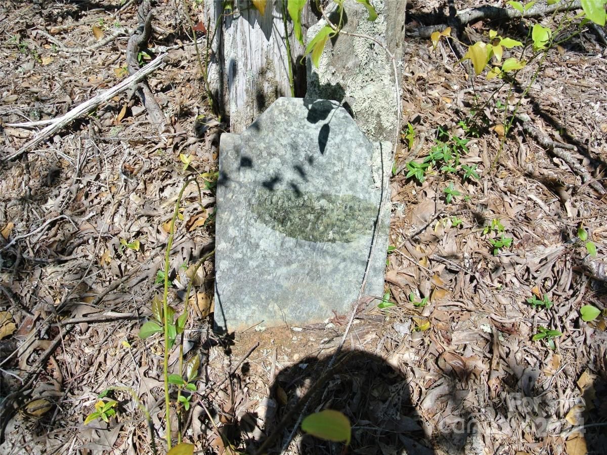 MLS #CAR4135867 image #20