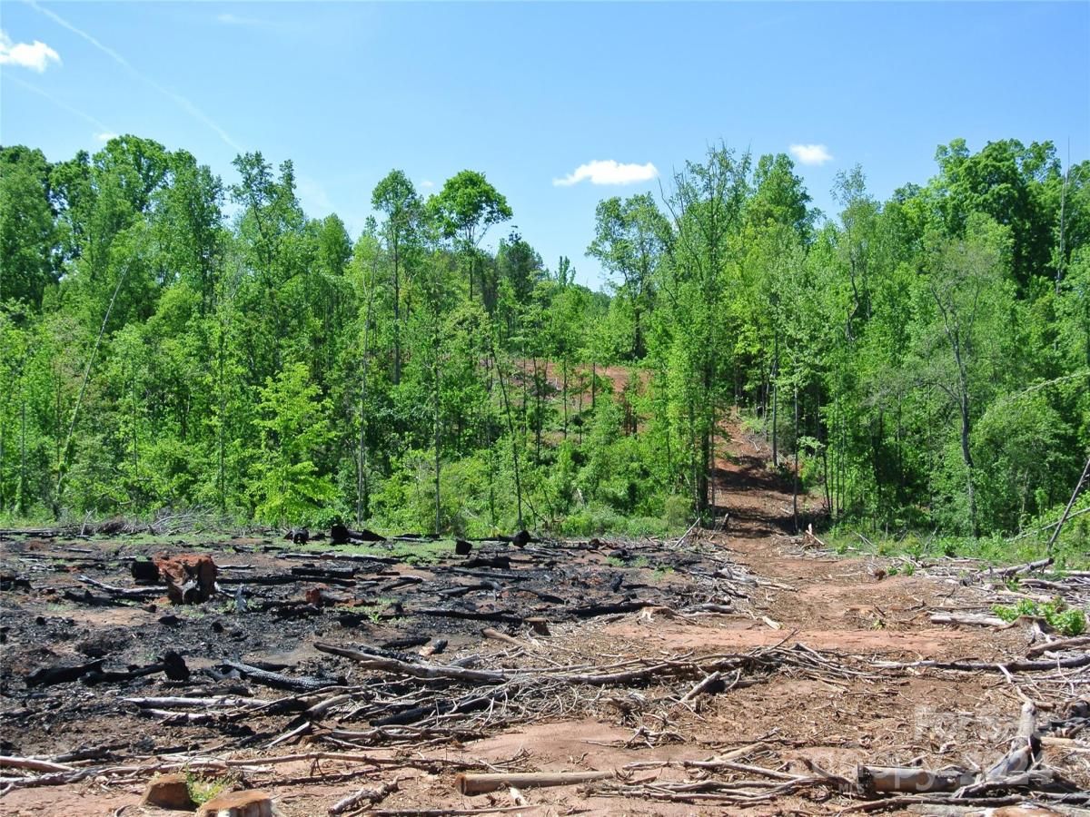 MLS #CAR4135867 image #6