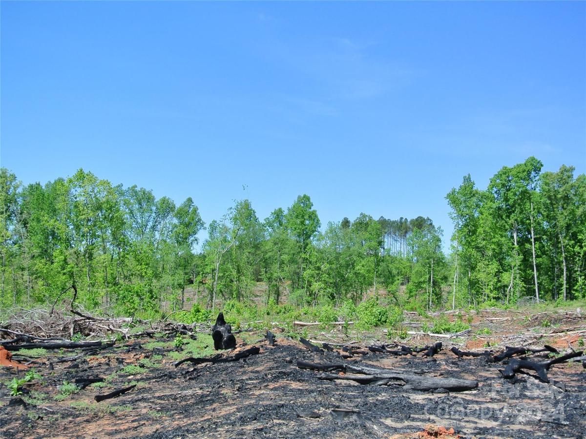 MLS #CAR4135867 image #7