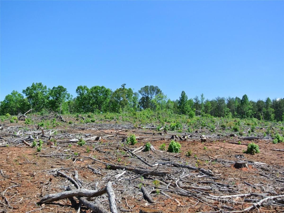 MLS #CAR4135867 image #8