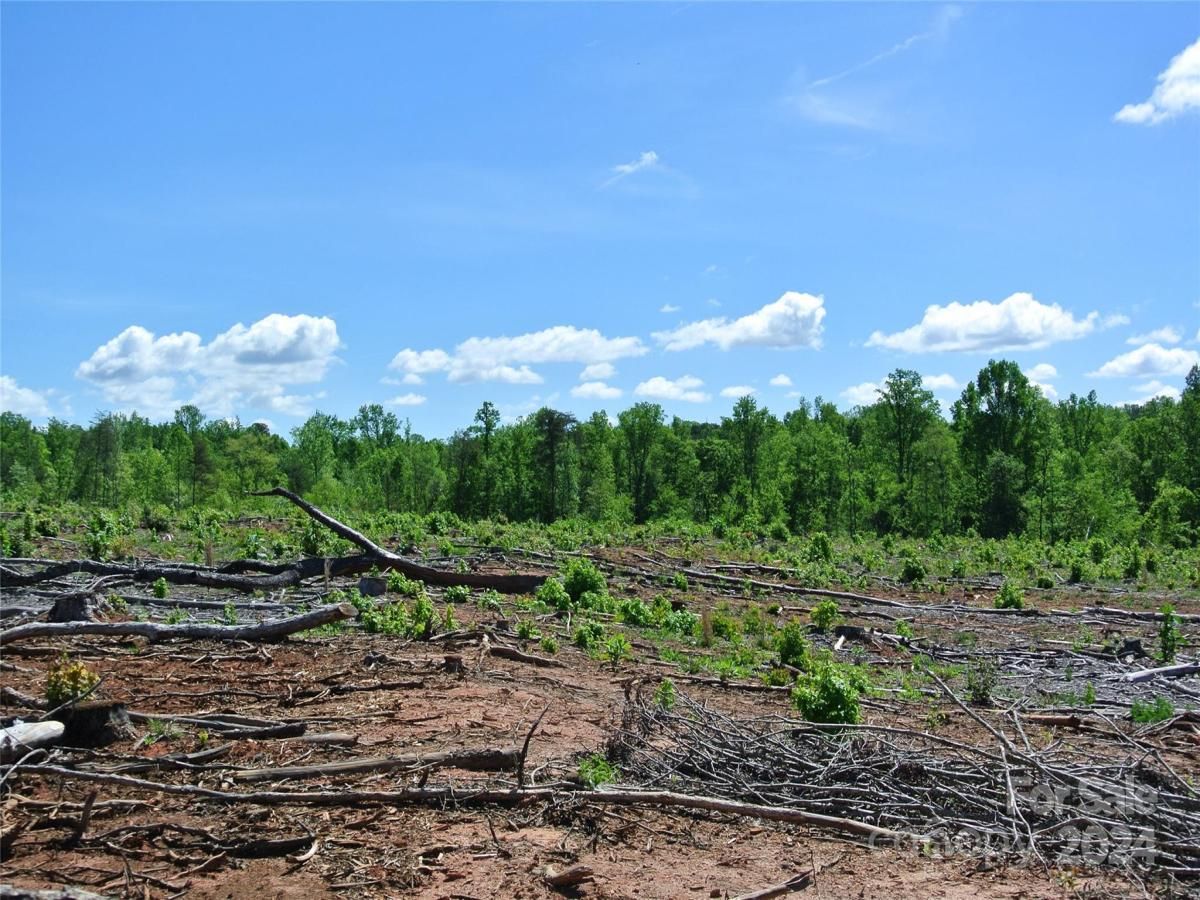 MLS #CAR4135867 image #9