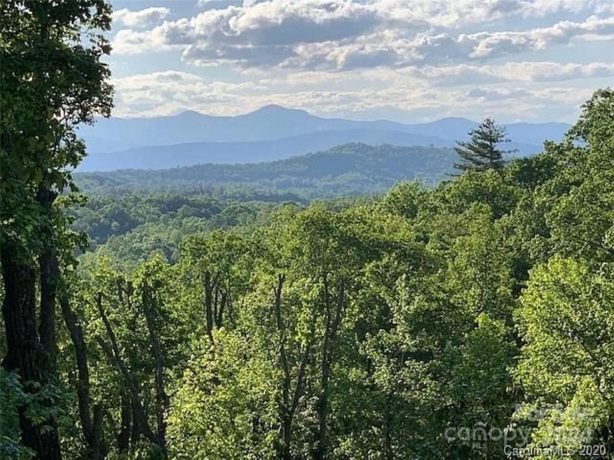 MLS #CAR4137686 image #0