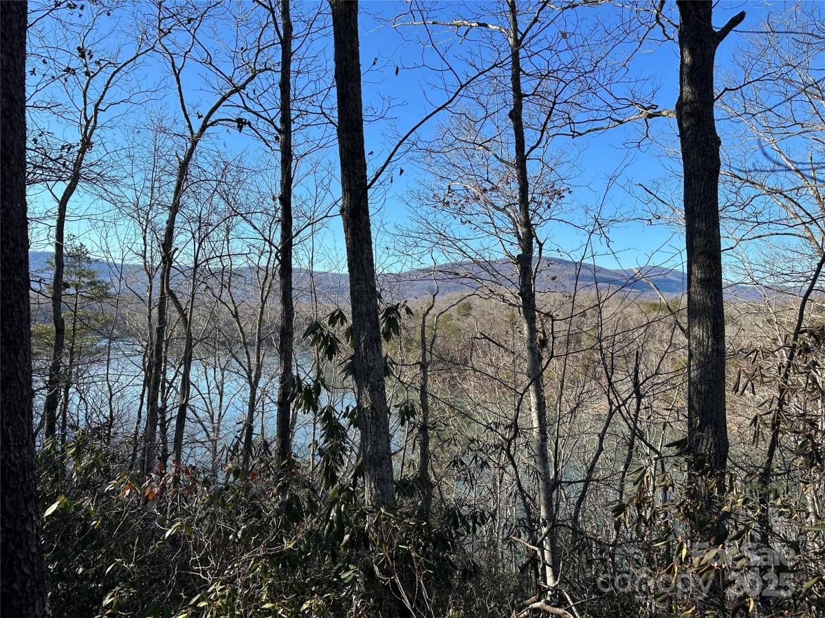 MLS #CAR4140634 image #0