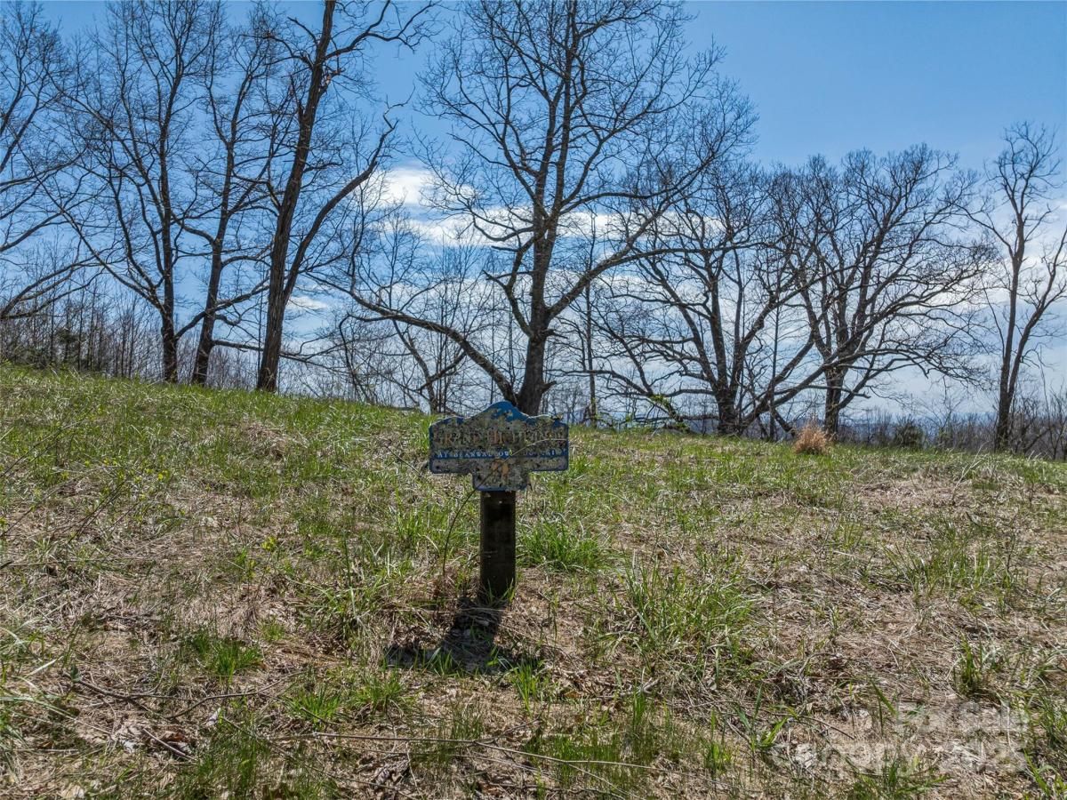 MLS #CAR4143989 image #0