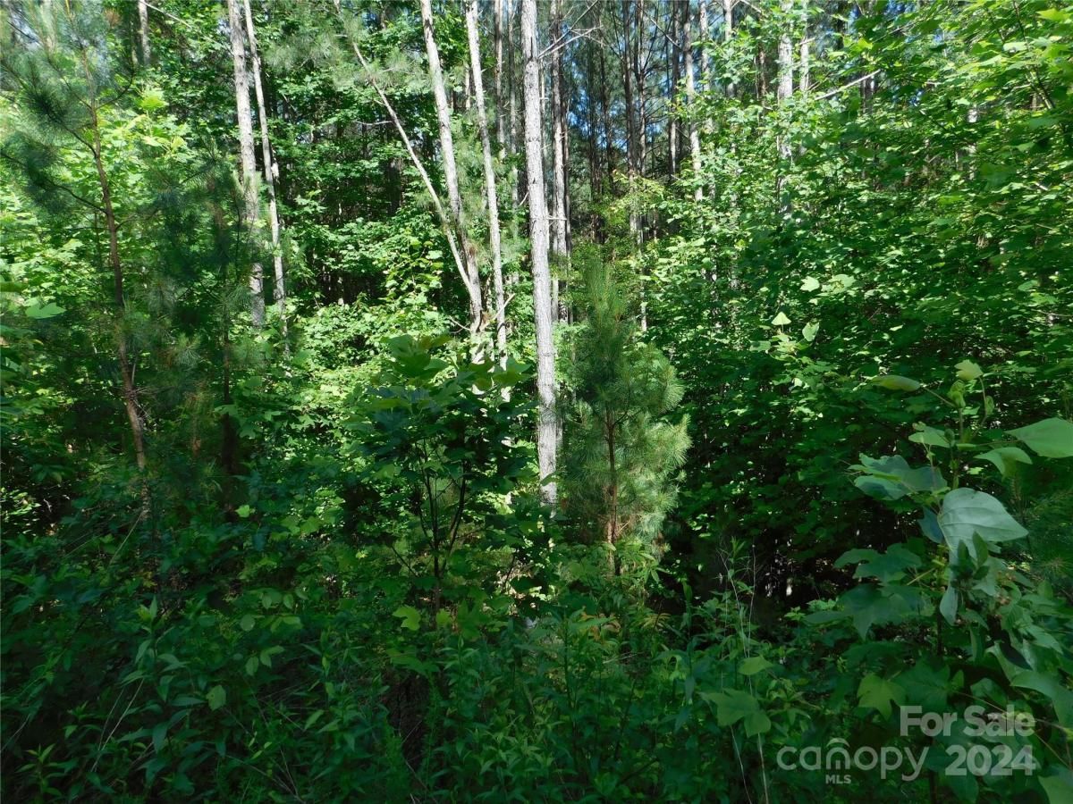 MLS #CAR4145595 image #0