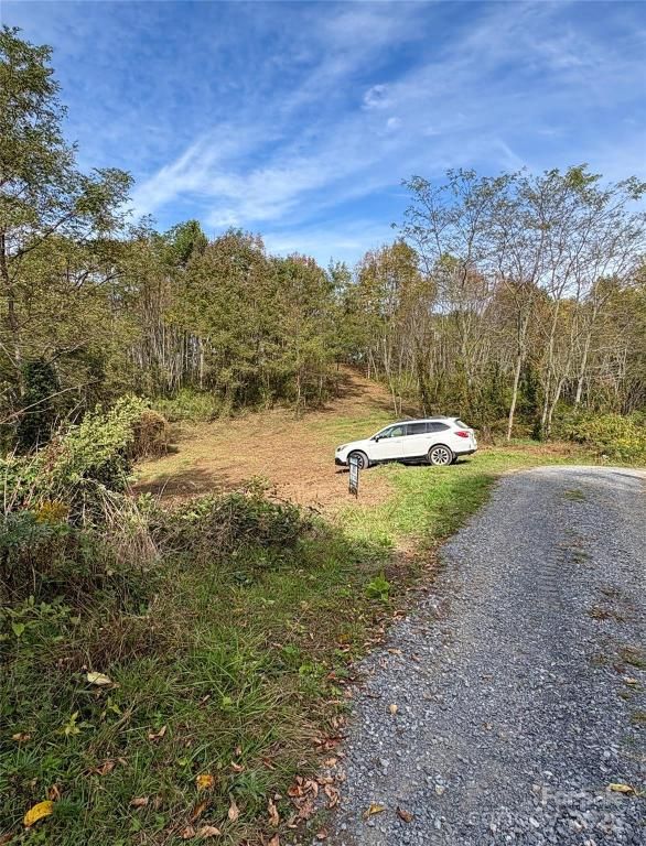 MLS #CAR4147897 image #0