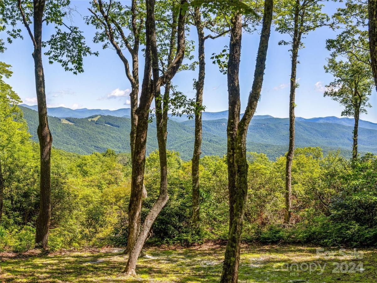 MLS #CAR4151723 image #0