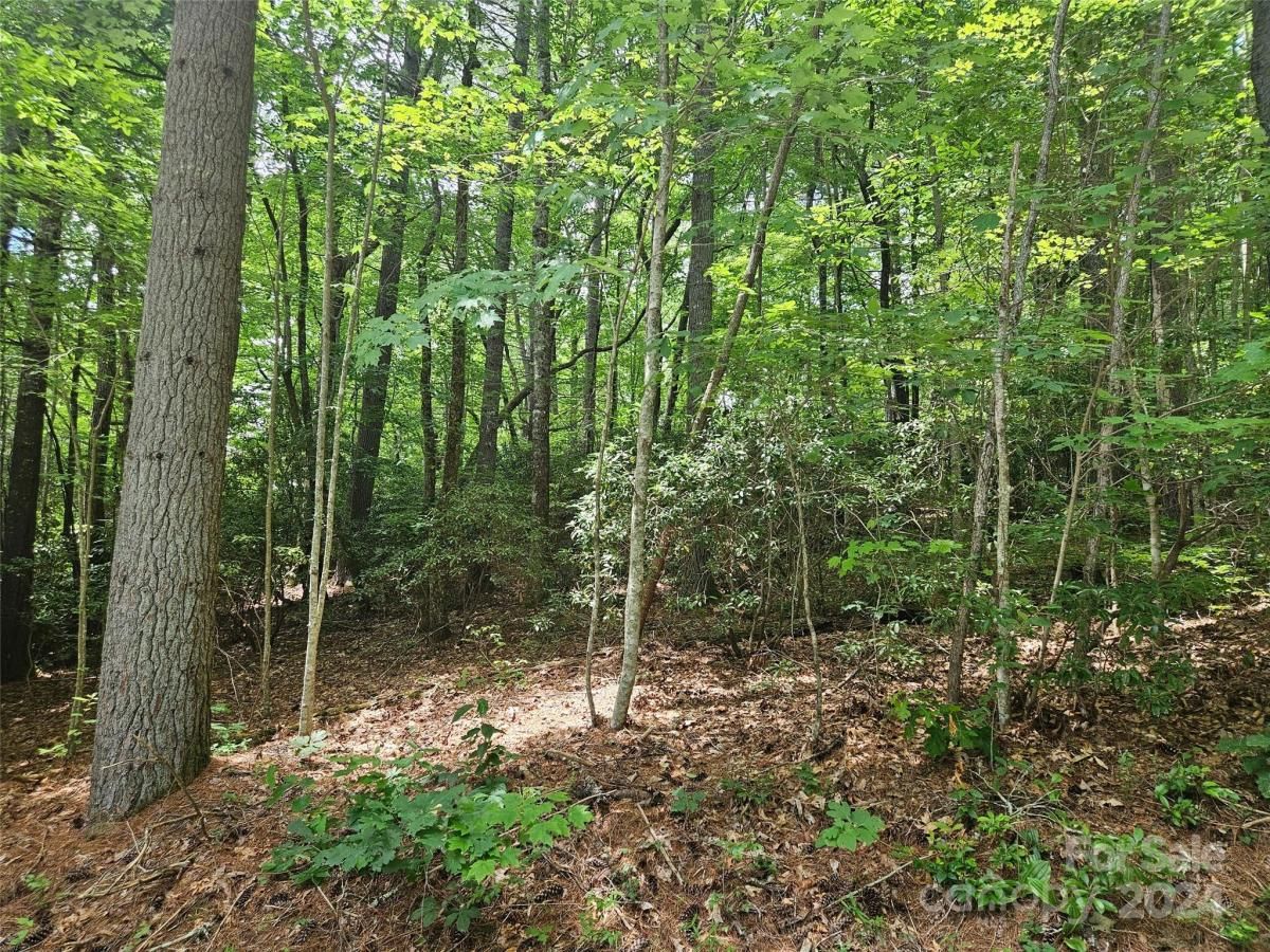 MLS #CAR4153314 image #0