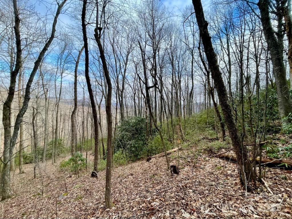 MLS #CAR4156854 image #0