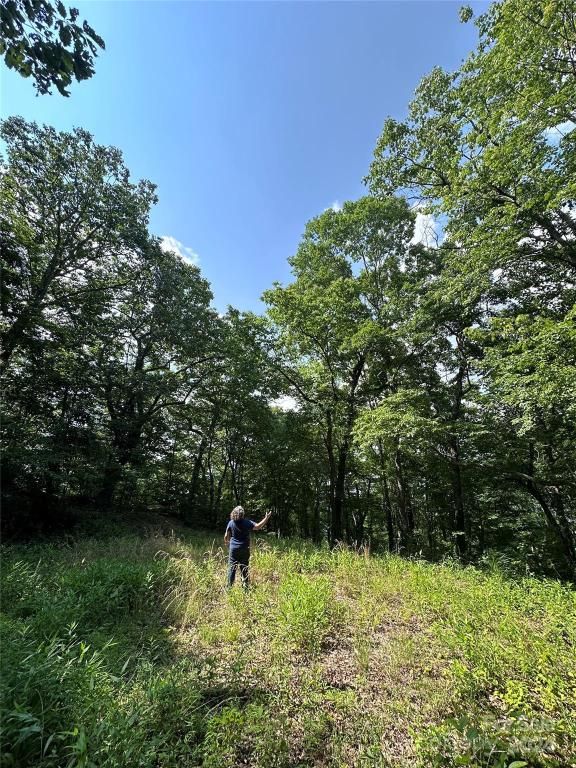 MLS #CAR4158059 image #0