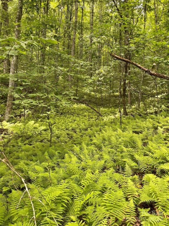 MLS #CAR4158806 image #0