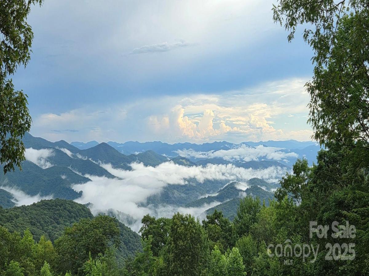 MLS #CAR4159278 image #0