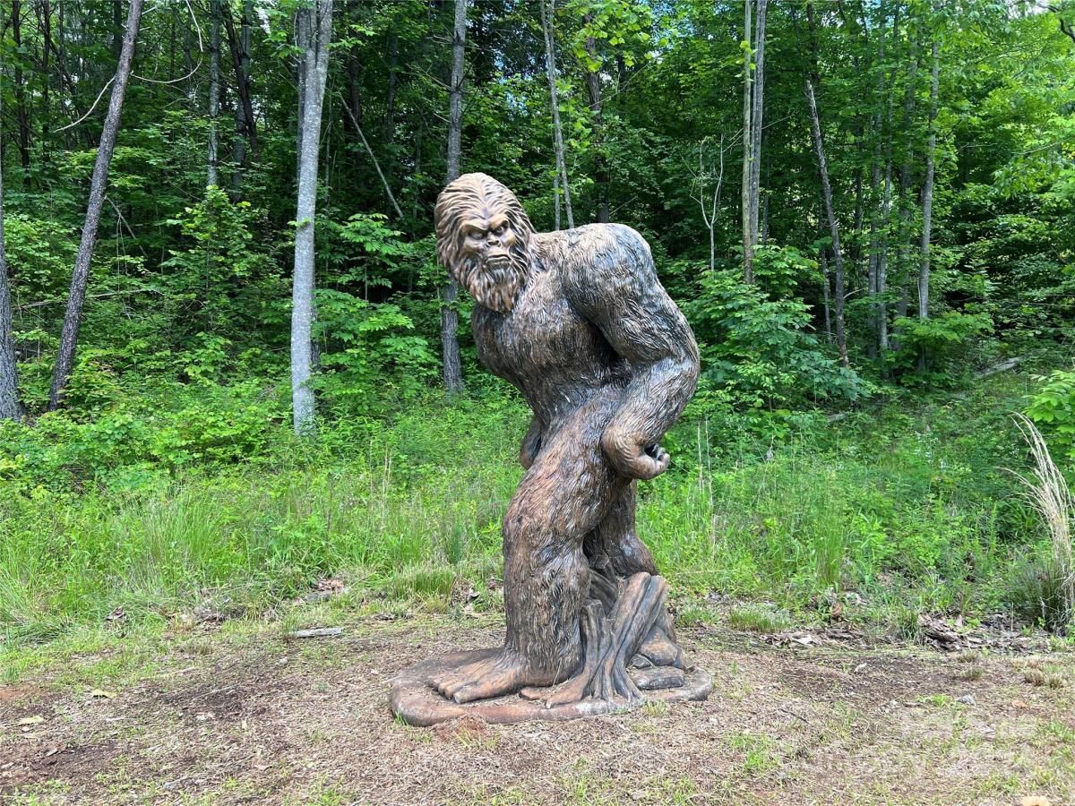 MLS #CAR4164543 image #0