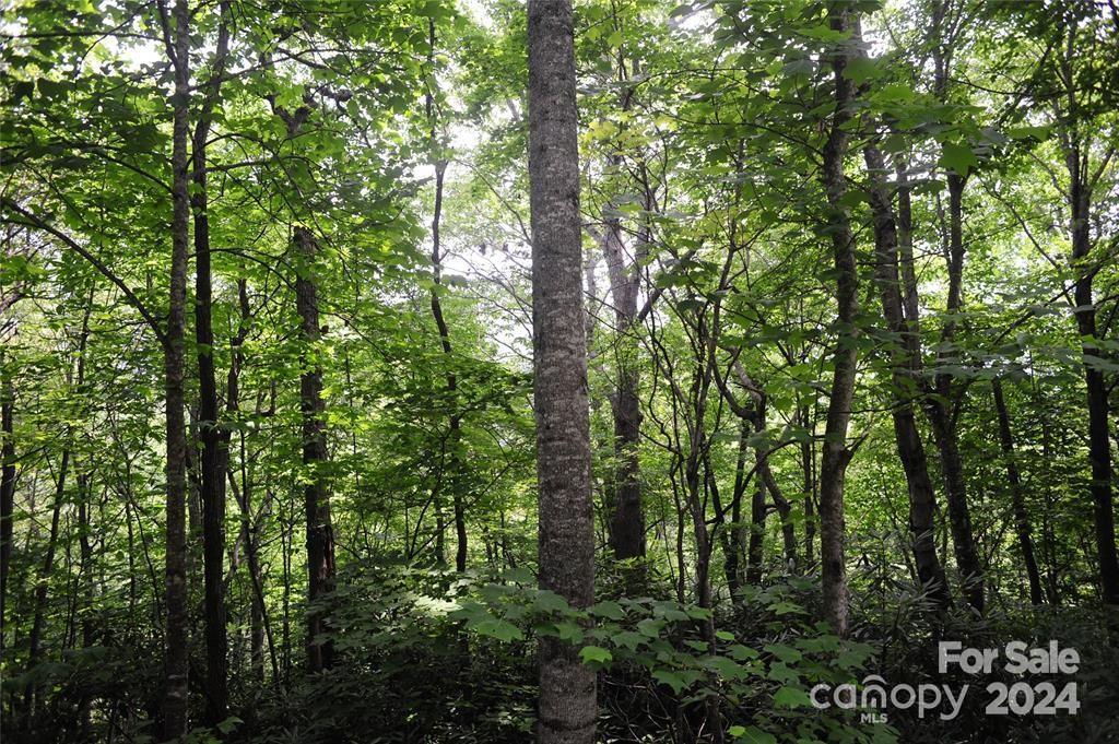 MLS #CAR4167938 image #0