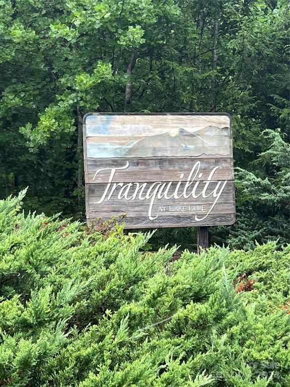 MLS #CAR4169949 image #0